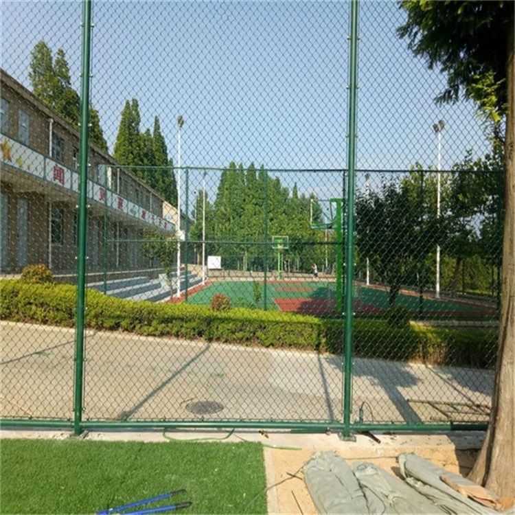 学校围栏网 - 安平县艾瑞金属丝网有限公司图片4